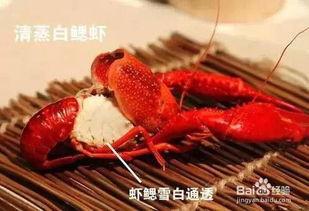 四毛龙虾爆料怎么做视频,揭秘视频制作背后的秘密 第3张 四毛龙虾爆料怎么做视频,揭秘视频制作背后的秘密 第3张